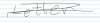 scratch out gesture 2.PNG